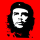 Illustration for article titled Che Guevara's Son Is Giving Motorcycle Tours Of Cuba